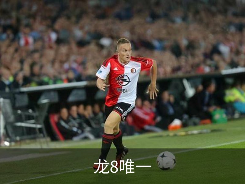 龙8唯一介绍